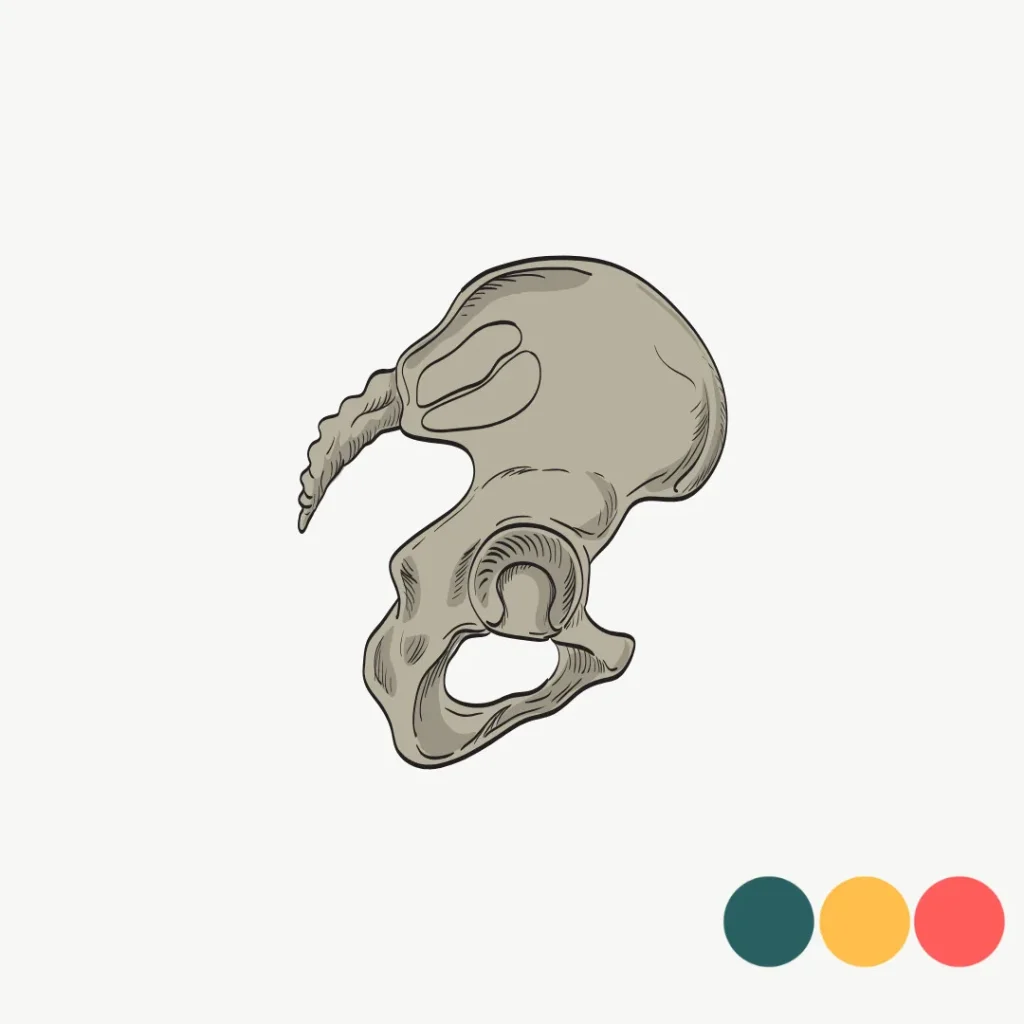Breech pain Coccydynia