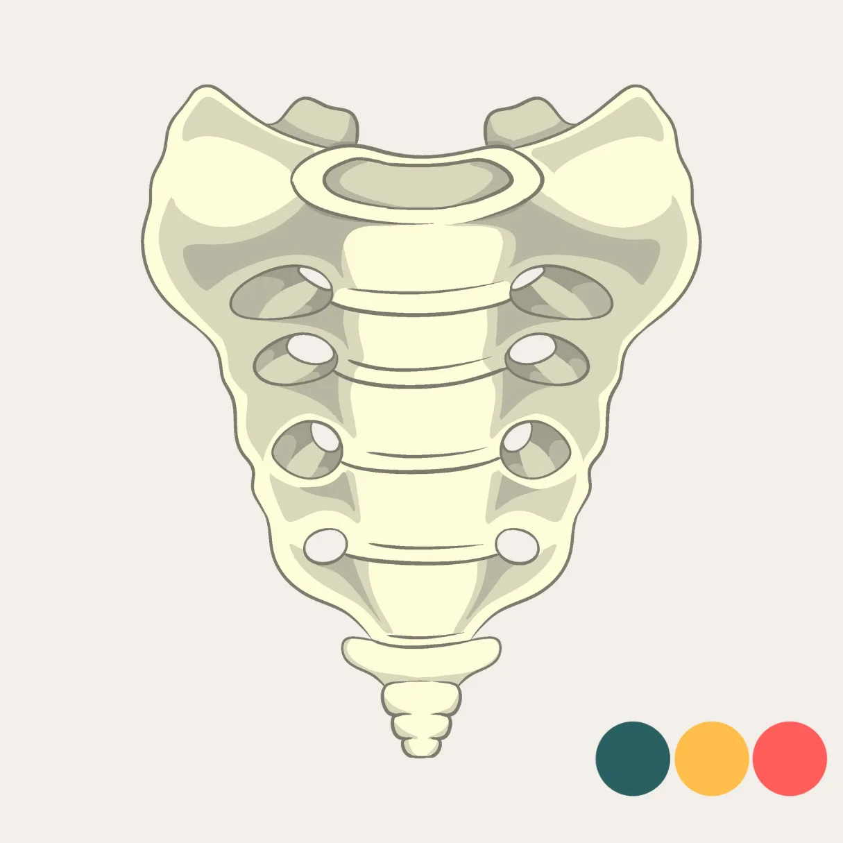 Coccydynia tailbone pain TIlburg